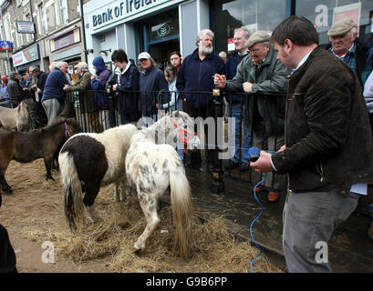 Pferdehändler zeigen ihre Tiere beim Ballyclare May Festival in Ballyclare, Co Antrim. Stockfoto