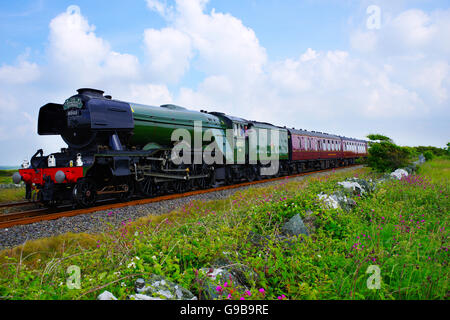 60103 Flying Scotsman Lokomotive, Cathedrals Express, at Valley, Anglesey, Stockfoto