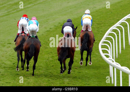 Pferderennen - Vodafone Ladies Day - Epsom Downs Racecourse. Ein allgemeiner Blick auf die Aktion am Ladies Day Stockfoto