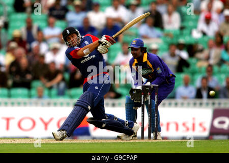 Cricket - NatWest One Day International Series 2006 - England / Sri Lanka - The Brit Oval. Steve Harmion, England Stockfoto