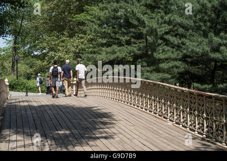 Kiefer Bank Bridge, Central Park, New York Stockfoto