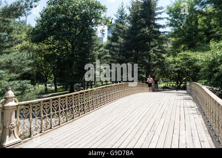 Kiefer Bank Bridge, Central Park, New York Stockfoto