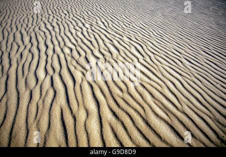 die Sanddünen in der Nähe der Oase und Dorf von Siwa in der lybischen oder westlichen Wüste von Ägypten in Nordafrika Stockfoto