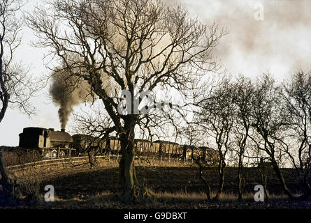 Ein Hunslet Sparmaßnahmen Sattel Tank arbeitet im Shilbottle Zeche-Netzwerk in der Nähe von Alnwick. Stockfoto