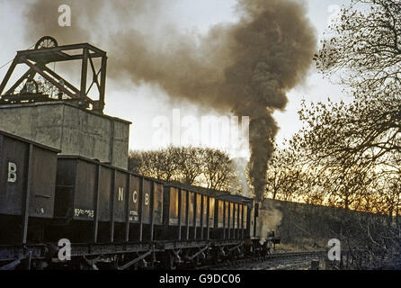 Dieser letzten Überlebenden 18In 0-6-0 t, von Robert Stephenson and Hawthorns 1950 gebaut und nummeriert 31. Stockfoto