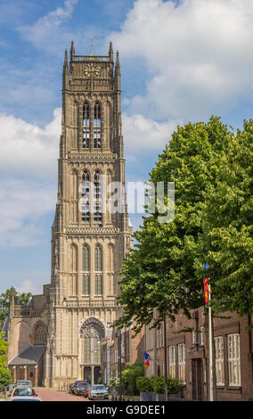 Große oder St. Maartens Kirche Zaltbommel, Niederlande Stockfoto