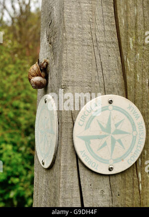 Eine Schnecke kriecht oben ein Schild neben Wegemarkierungen. Stockfoto