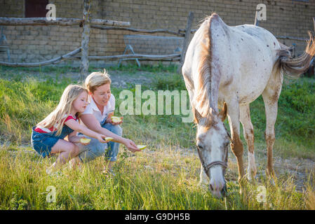 Mutter und Tochter, die Fütterung eines Pferdes eines Apfels im Gestüt. Stockfoto