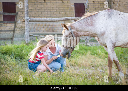 Mutter und Tochter, die Fütterung eines Pferdes eines Apfels im Gestüt. Stockfoto