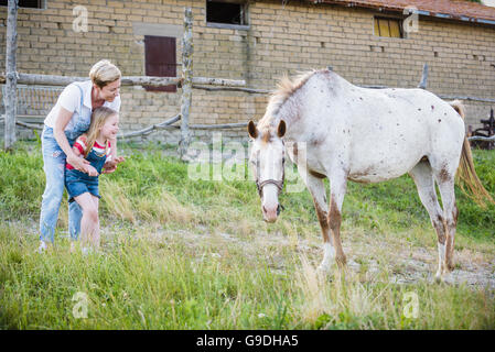 Mutter und Tochter, die Fütterung eines Pferdes eines Apfels im Gestüt. Stockfoto