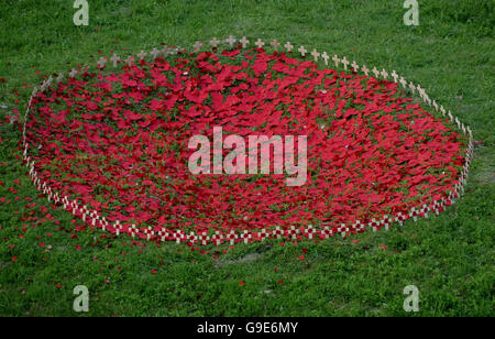 Ein Gedenkring kreuzt in Form eines riesigen Mohn am Boden des Lochnagar-Kraters in Frankreich während eines Gedenkgottesdienstes für die Schlacht an der Somme. Stockfoto