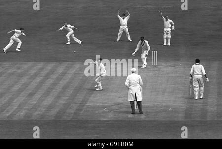 Cricket - die Wisden Trophy - Vierter Test - England gegen Westindien - Headingley - Dritter Tag. Englands Fred Trueman (3. L) appelliert für das Dickicht von Easton McMorris (3. R) von West Indies, der lbw für 1 Person ausgab Stockfoto