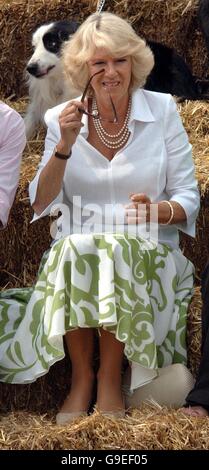 Camilla besucht Bowood Hundeausstellung Stockfoto