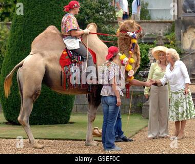 Camilla besucht Bowood Hundeausstellung Stockfoto