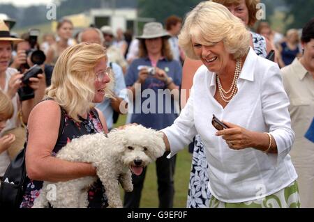 Die Herzogin von Cornwall trifft sich bei einem Besuch der Bowood Dog Show und Country Fair in Wiltshire mit einem Pudel, wo sie später einen Preis an den heroischsten Hund überreicht. Stockfoto