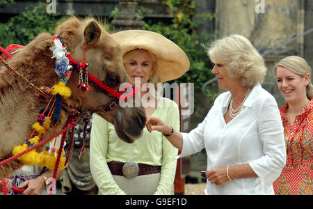 Camilla besucht Bowood Hundeausstellung Stockfoto