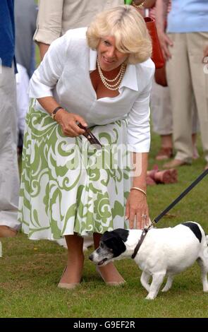 Camilla besucht Bowood Hundeausstellung Stockfoto