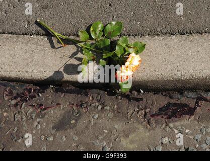 Eine Rose liegt neben Blut auf der Straße an der Kreuzung von Dalton Close und Billinge Street in Blackburn, Lancashire, wo am Donnerstagabend ein sechsjähriges Mädchen bei einem Unfall mit Unfall ums Leben kam, während es auf der Straße spielte. Stockfoto