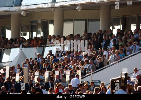 Pferderennen - Epsom Live! Mit der Rennbahn Texas - Epsom Downs. Rennfahrer genießen die Atmosphäre in Epsom Downs Stockfoto