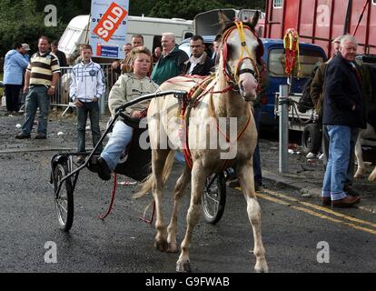 Auld Lamas fair Stockfoto