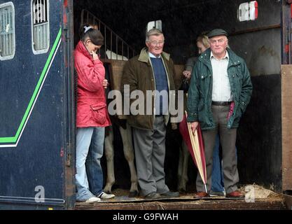 Auld Lamas fair Stockfoto