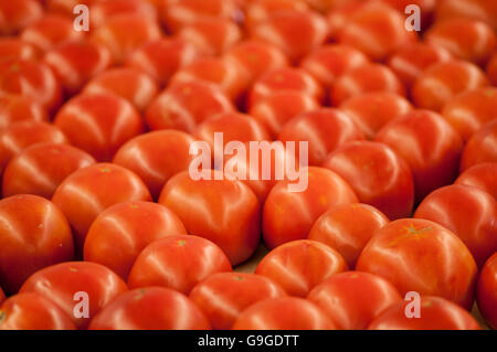 Frisch geerntete Tomaten auf einem Bauernhof Stand. Stockfoto