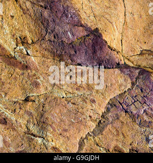 Geologie, zeigen einige der bunten Felsen am Church Bay Beach an der nördlichen Westküste auf Isle of Anglesey North Wales Stockfoto