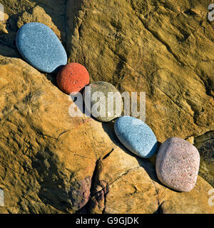 Geologie, zeigen einige der bunten Felsen am Church Bay Beach an der nördlichen Westküste auf Isle of Anglesey North Wales UK Stockfoto