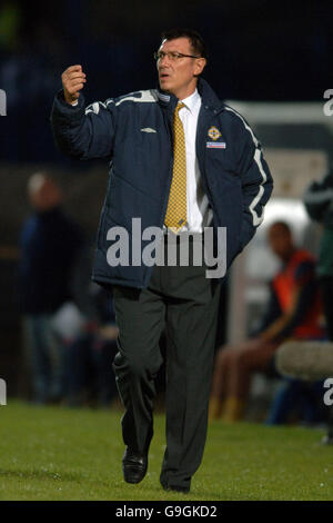 Fußball - UEFA European Championship 2008 Qualifikation - Gruppe F - Nordirland / Spanien - Windsor Park. Lawrie Sanchez, Managerin für Nordirland Stockfoto