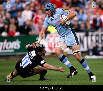 Rugby-Union - EDF Energy Cup - Cardiff V Wespen. Stockfoto