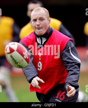 Rugby-Union - Wales Trainingseinheit - Sophia Gardens Stockfoto