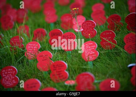 Memorial Mohn vor der Thiepval-Museum vor dem Gedenken an den hundertsten Jahrestag der Schlacht an der Somme bei der Commonwealth War Graves Kommission Thiepval Memorial in Thiepval, Frankreich, wo 70.000 britischen und Commonwealth-Soldaten mit kein bekanntes Grab gelegt werden gedacht. Stockfoto