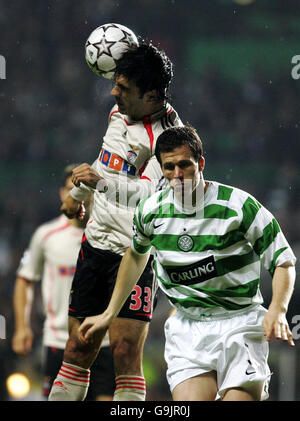 Fußball - Champions League - Gruppe F - Celtic gegen Benfica - Celtic Park. Gary Caldwell (rechts) von Celtic in Aktion gegen Riicardo Rocha von Benfica während des Champions League-Spiel der Gruppe F im Celtic Park, Glasgow. Stockfoto