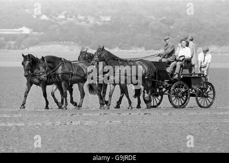 Der Herzog von Edinburgh an der Zügel seiner Kutsche nach einer dreieinhalb Kilometer langen Pferdekutschenüberquerung der Morecambe Bay, von Silverdale in der Nähe von Morecambe nach Grange-over-Sands in Cumbria. Stockfoto