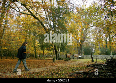 Herbst-podcast Stockfoto