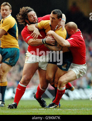 Rugby Union - Internationales Spiel - Wales gegen Australien - Millennium Stadium. Der walisische Adam Jones (links) und Martyn Williams halten während des Internationalen Spiels im Millennium Stadium, Cardiff, den Australier Mat Rogers an. Stockfoto