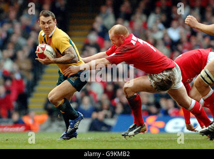 Rugby Union - Internationales Spiel - Wales gegen Australien - Millennium Stadium. Der walisische Martyn Williams streckt sich während des Internationalen Spiels im Millennium Stadium, Cardiff, an den australischen Mat Rogers (links). Stockfoto