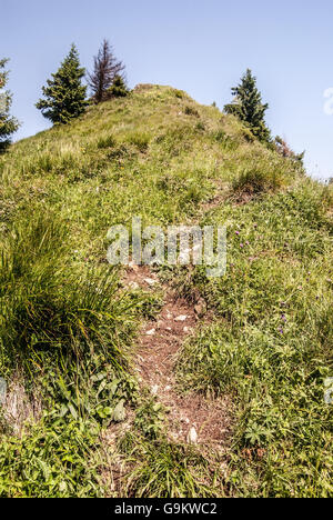 Osnica Berg-Gipfel in Mala Fatra Gebirge in der Slowakei mit Bergwiese, isolierten Bäume, Wanderweg und klarer Himmel Stockfoto