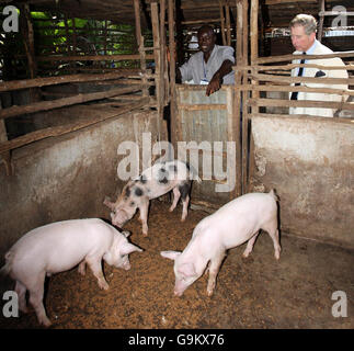 Der Prinz von Wales sieht Schweine während einer Tour der Methodist Boys High School in Kissy, Freetown, Sierra Leone am zweiten Tag seiner Westafrikanischen Tour. September 2006. Stockfoto