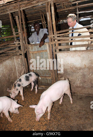 Prince Of Wales Tour von West-Afrika Stockfoto