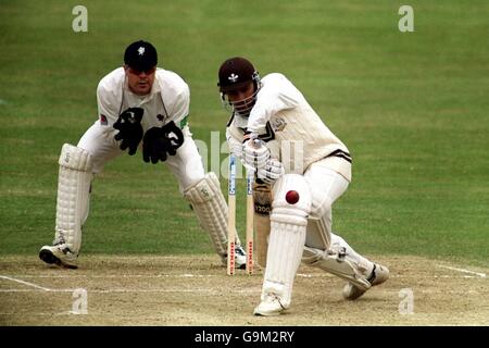 Cricket - CricInfo County Championship Division One - Surrey V Somerset - Dritter Tag Stockfoto