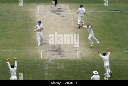 Der Australier Stuart Clark (Mitte rechts) feiert den Abmarsch des Engländers Steve Harmiso, um das erste Testspiel in Gabba, Brisbane, Australien, zu gewinnen. Stockfoto