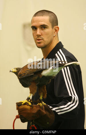 Hampshire und England Cricketspieler Kevin Pietersen mit Morgana, einem Harris Hawk beim Rose Bowl in Southampton. Stockfoto