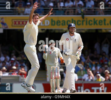 Der Australier Glenn McGrath feiert am dritten Tag des ersten Testmatches in Gabba, Brisbane, Australien, die Entlässt des Englands Steve Harmison wegen einer Ente. Stockfoto