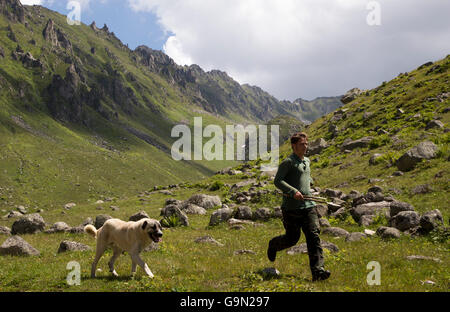 Hirte und Kangal (Herding Hund). Der Kangal Hund ist eine Hunderasse große Vieh Wächter aus der Sivas Stockfoto