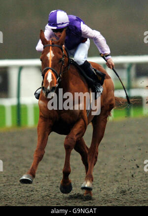 Racing - Lingfield Stockfoto