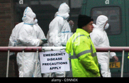 Arbeiter in Schutzanzügen auf der Bernard Matthews Fabrik Farm in Holton, Suffolk, wo es einen Ausbruch der Vogelgrippe gab. Stockfoto