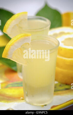 Limoncello, italienische alkoholisches Getränk Stockfoto