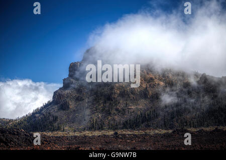 Nationalpark El Teide, Teneriffa, Kanarische Inseln, Spanien Stockfoto