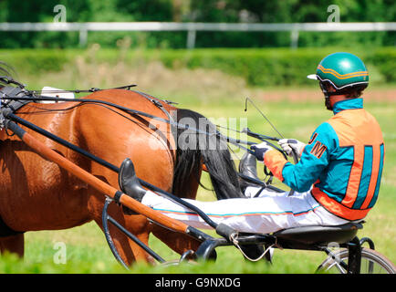 Trabrennen / Traber, Trotter, Sulky, Fahrer, Kabelbaum Stockfoto